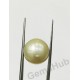 South Sea Pearl - 11.80 ct (13.11 ratti)