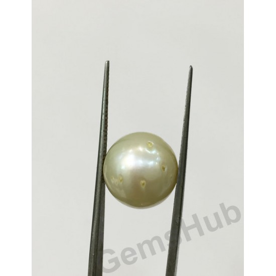 South Sea Pearl - 12.64 ct (14.00 ratti)