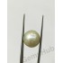 South Sea Pearl - 12.64 ct (14.00 ratti)