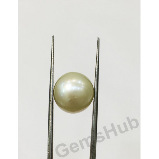 South Sea Pearl - 12.64 ct (14.00 ratti)