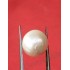 South Sea Pearl - 13.03 ct (14.50 ratti)