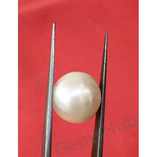 South Sea Pearl - 13.03 ct (14.50 ratti)