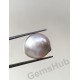 Japanese Pearl - 8.99 ct (10.00 ratti)