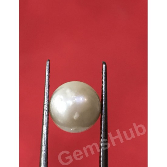 South Sea Pearl - 2.62 ct (2.90 ratti)