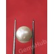 South Sea Pearl - 2.62 ct (2.90 ratti)