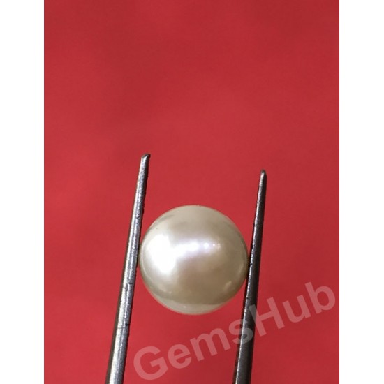 South Sea Pearl - 2.62 ct (2.90 ratti)