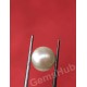 South Sea Pearl - 2.62 ct (2.90 ratti)