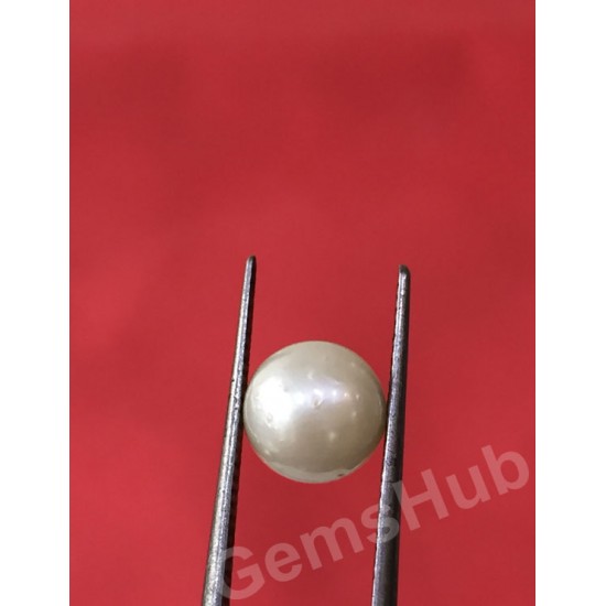 South Sea Pearl - 2.32 ct (2.50 ratti)