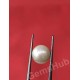 South Sea Pearl - 2.32 ct (2.50 ratti)