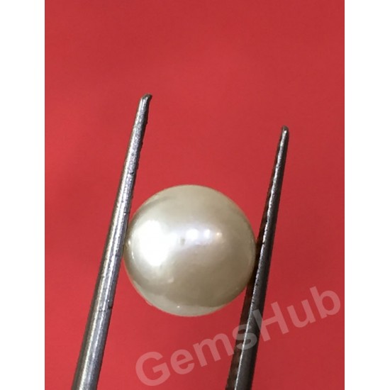 South Sea Pearl - 2.32 ct (2.50 ratti)