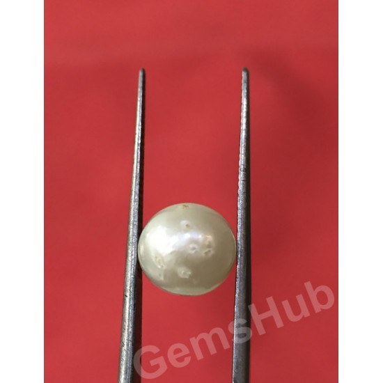 South Sea Pearl - 3.98 ct (4.50 ratti) South Sea Pearl - 3.98 ct (4.50 ratti)