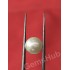 South Sea Pearl - 3.98 ct (4.50 ratti)