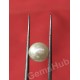 South Sea Pearl - 3.98 ct (4.50 ratti) South Sea Pearl - 3.98 ct (4.50 ratti)