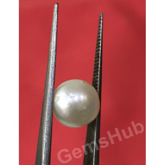 South Sea Pearl - 3.98 ct (4.50 ratti) South Sea Pearl - 3.98 ct (4.50 ratti)