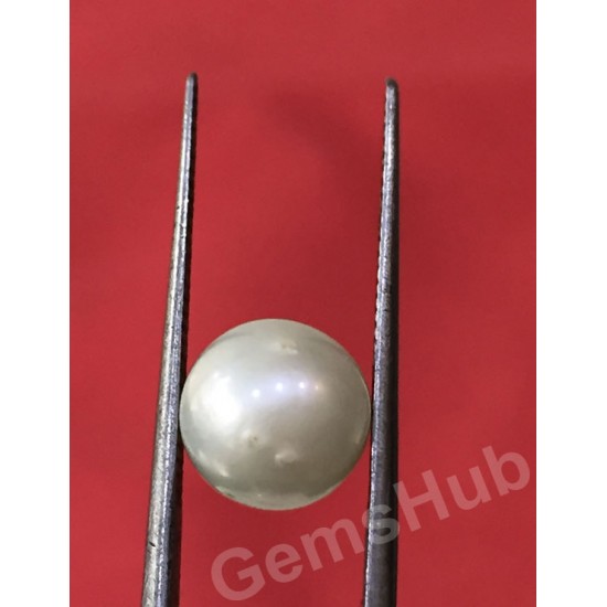 South Sea Pearl - 3.73 ct (4.25 ratti)