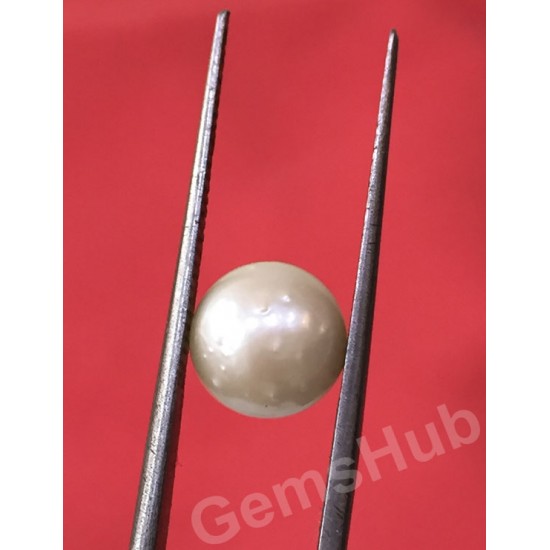 South Sea Pearl - 3.65 ct (4.00 ratti)