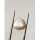 Burmese Pearl - 7.97 ct (8.85 ratti)