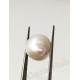 Burmese Pearl - 8.34 ct (9.25 ratti)