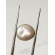 Burmese Pearl - 8.02 ct (8.91 ratti)