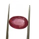 4.66 ct Natural Certified Bangkok/New Burma Ruby/Manik