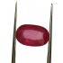 5.43 ct Natural Certified Bangkok/New Burma Ruby/Manik