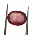 5.48 ct Natural Certified Bangkok/New Burma Ruby/Manik