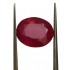 5.48 ct Natural Certified Bangkok/New Burma Ruby/Manik