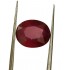 7.24 ct Natural Certified New Burma Ruby/Manik