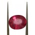 8.55 ct Natural Certified New Burma Ruby/Manik