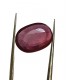 9.52 ct Natural Certified Bangkok/New Burma Ruby/Manik