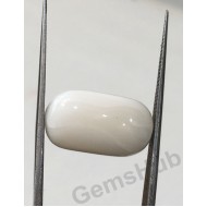 11.50 ratti/10.36 ct Natural Certified  White Coral/सफ़ेद मूंगा 