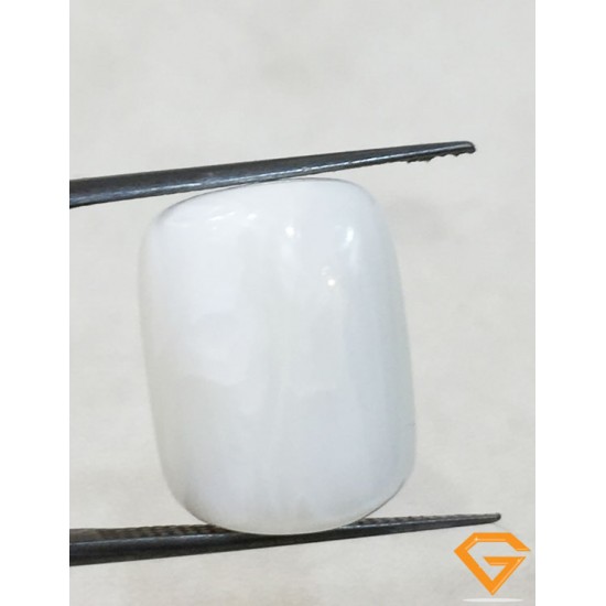 20.00 ratti/17.98 ct Natural Certified White Coral/सफ़ेद मूंगा 20.00 ratti/17.98 ct Natural Certified White Coral/सफ़ेद मूंगा