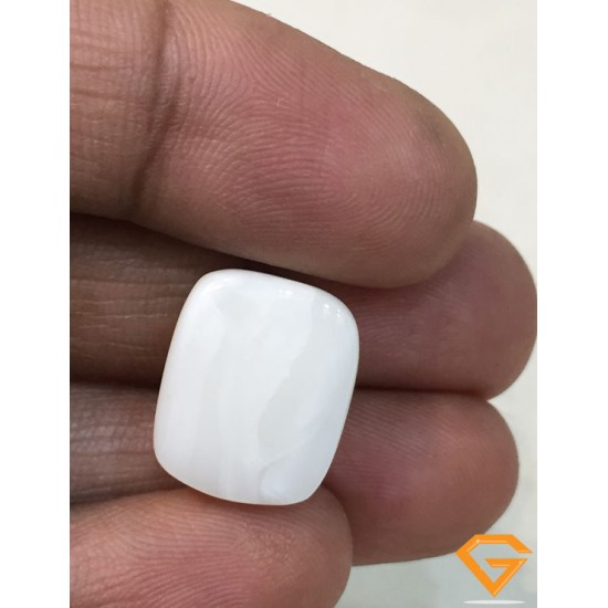 20.25 ratti/18.17 ct Natural Certified White Coral/सफ़ेद मूंगा 20.25 ratti/18.17 ct Natural Certified White Coral/सफ़ेद मूंगा