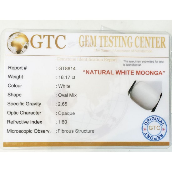 20.25 ratti/18.17 ct Natural Certified White Coral/सफ़ेद मूंगा 20.25 ratti/18.17 ct Natural Certified White Coral/सफ़ेद मूंगा