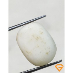 5.50 ratti/5.16 ct Natural Certified  White Coral/सफ़ेद मूंगा 