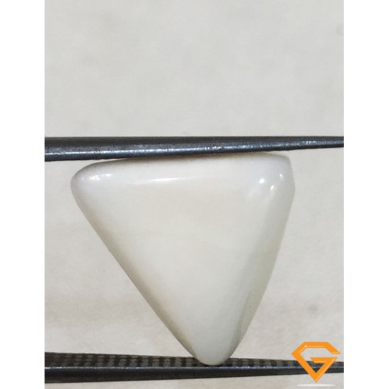 5.90 ratti/5.30 ct Natural Certified  White Coral/सफ़ेद मूंगा 
