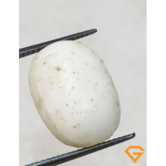 6.25 ratti/5.80 ct Natural Certified  White Coral/सफ़ेद मूंगा 