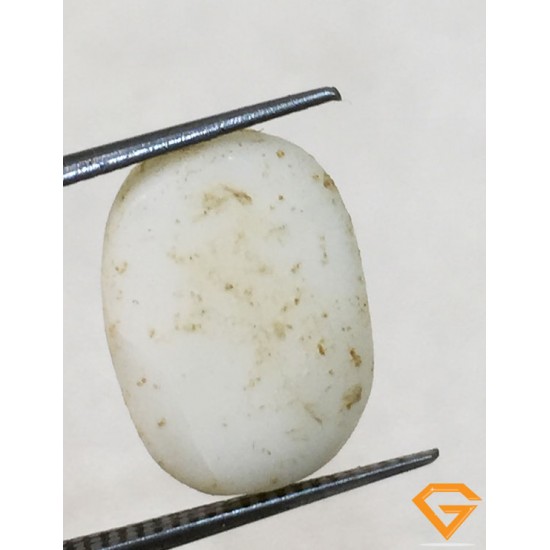 6.25 ratti/5.80 ct Natural Certified  White Coral/सफ़ेद मूंगा 