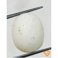 6.50 ratti/5.94 ct Natural Certified  White Coral/सफ़ेद मूंगा  6.50 ratti/5.94 ct Natural Certified  White Coral/सफ़ेद मूंगा