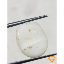 6.50 ratti/5.94 ct Natural Certified  White Coral/सफ़ेद मूंगा 