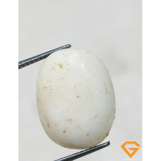 7 ratti/6.31 ct Natural Certified  White Coral/सफ़ेद मूंगा 