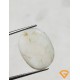 7 ratti/6.31 ct Natural Certified  White Coral/सफ़ेद मूंगा 