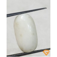 7.60 ratti/6.89 ct Natural Certified  White Coral/सफ़ेद मूंगा 