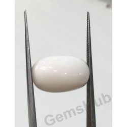 7.05 ct Natural Certified  White Coral/सफ़ेद मूंगा 