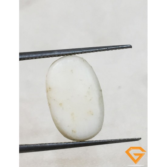 8.25 ratti/7.28 ct Natural Certified White Coral/सफ़ेद मूंगा 8.25 ratti/7.28 ct Natural Certified White Coral/सफ़ेद मूंगा