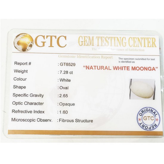 8.25 ratti/7.28 ct Natural Certified White Coral/सफ़ेद मूंगा 8.25 ratti/7.28 ct Natural Certified White Coral/सफ़ेद मूंगा
