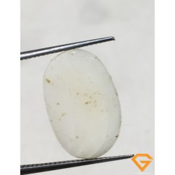 8.50 ratti/7.67 ct Natural Certified  White Coral/सफ़ेद मूंगा 