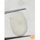 8.50 ratti/7.67 ct Natural Certified White Coral/सफ़ेद मूंगा 8.50 ratti/7.67 ct Natural Certified White Coral/सफ़ेद मूंगा