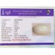8.50 ratti/7.67 ct Natural Certified White Coral/सफ़ेद मूंगा 8.50 ratti/7.67 ct Natural Certified White Coral/सफ़ेद मूंगा