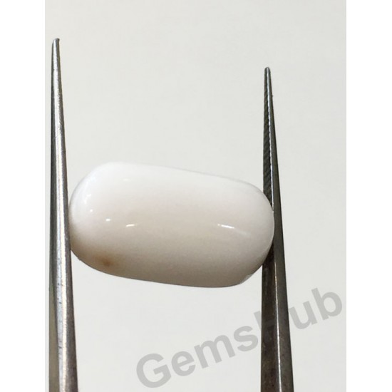 8.60 ct Natural Certified White Coral/सफ़ेद मूंगा 8.60 ct Natural Certified White Coral/सफ़ेद मूंगा